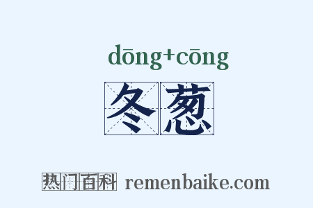 冬葱是什么意思的图片